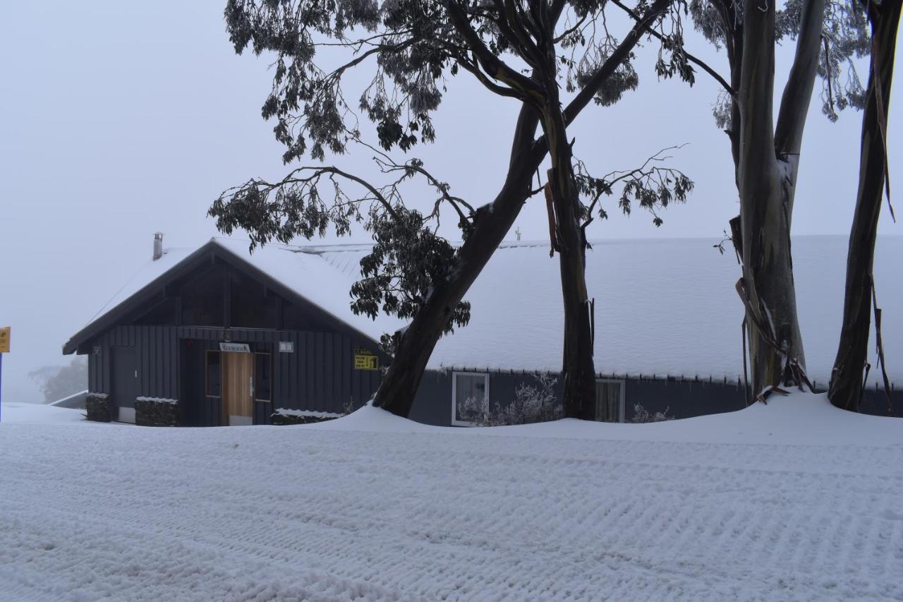 Cooroona Alpine Lodge Фолс-Крик Экстерьер фото
